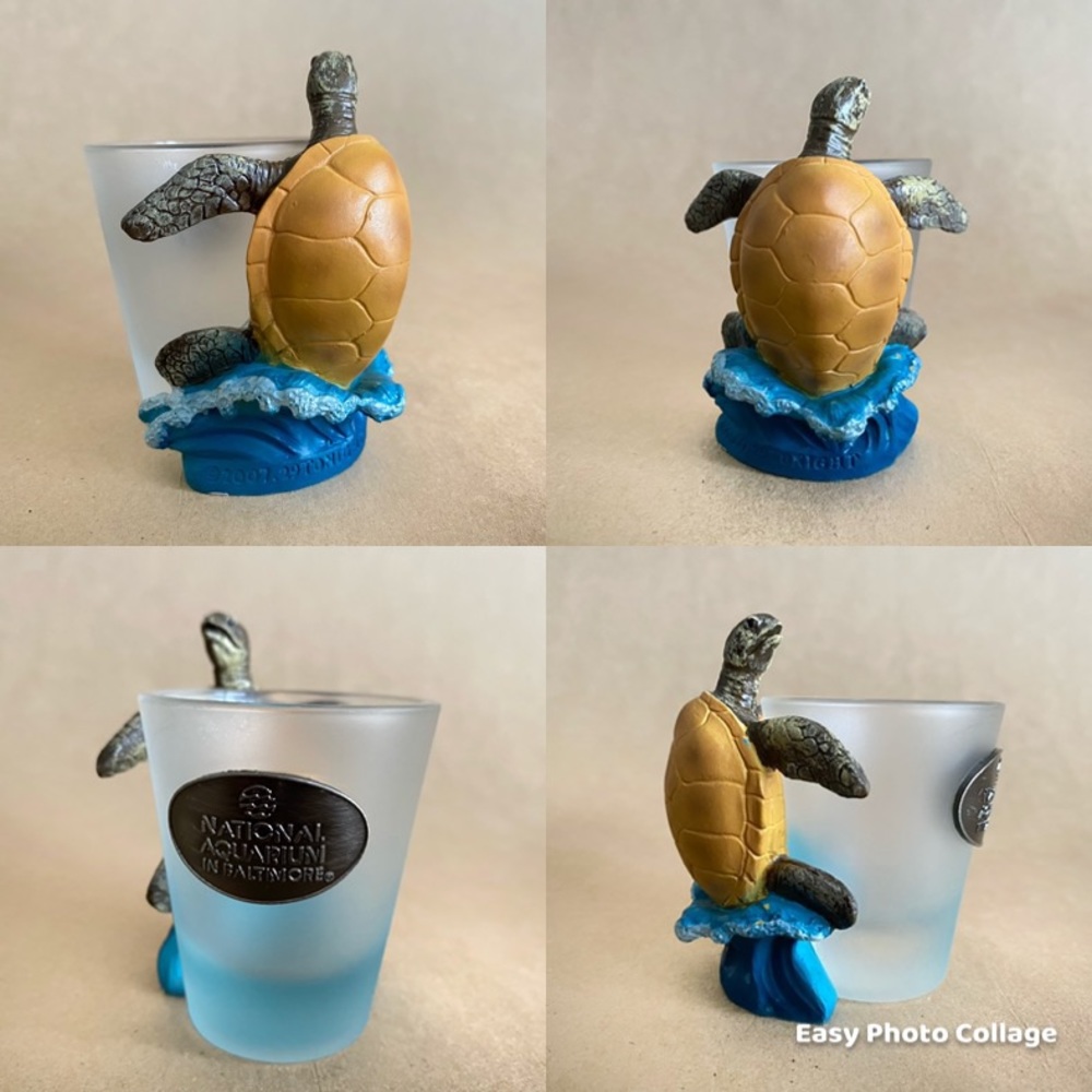 Turtle shot glass